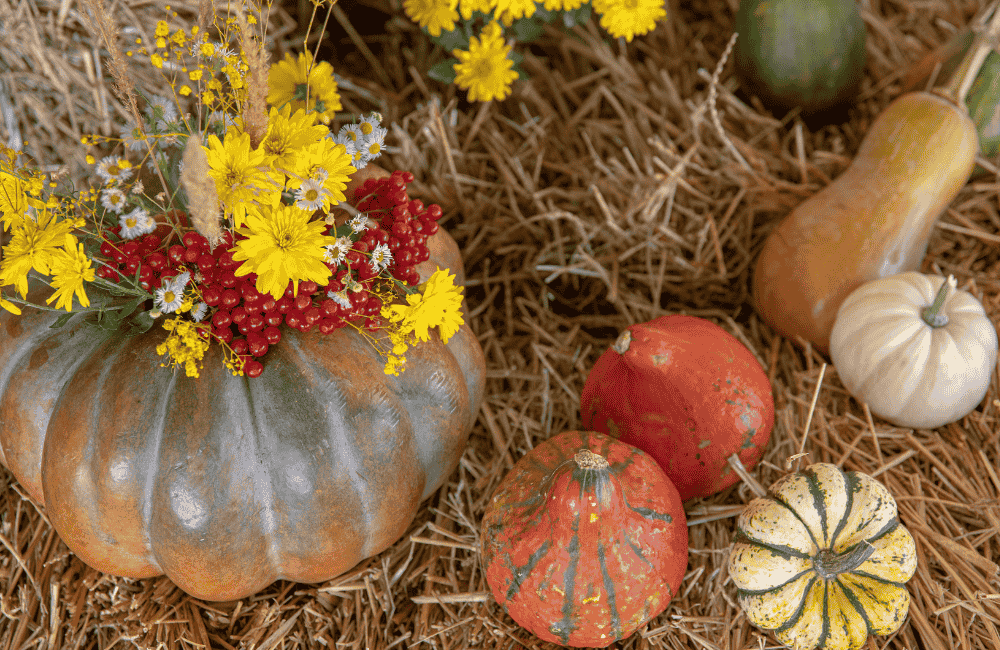 Festa della zucca e dei fiori d’autunno