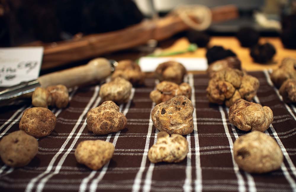 Calici e Forchette – Fiera Regionale del tartufo
