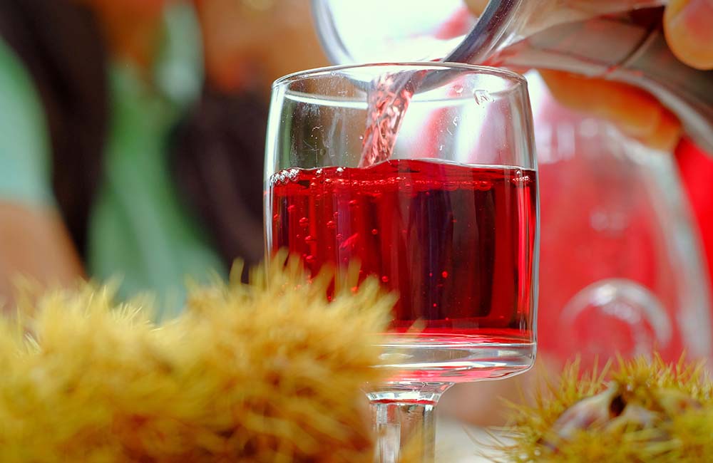 Castagne e Vino novello