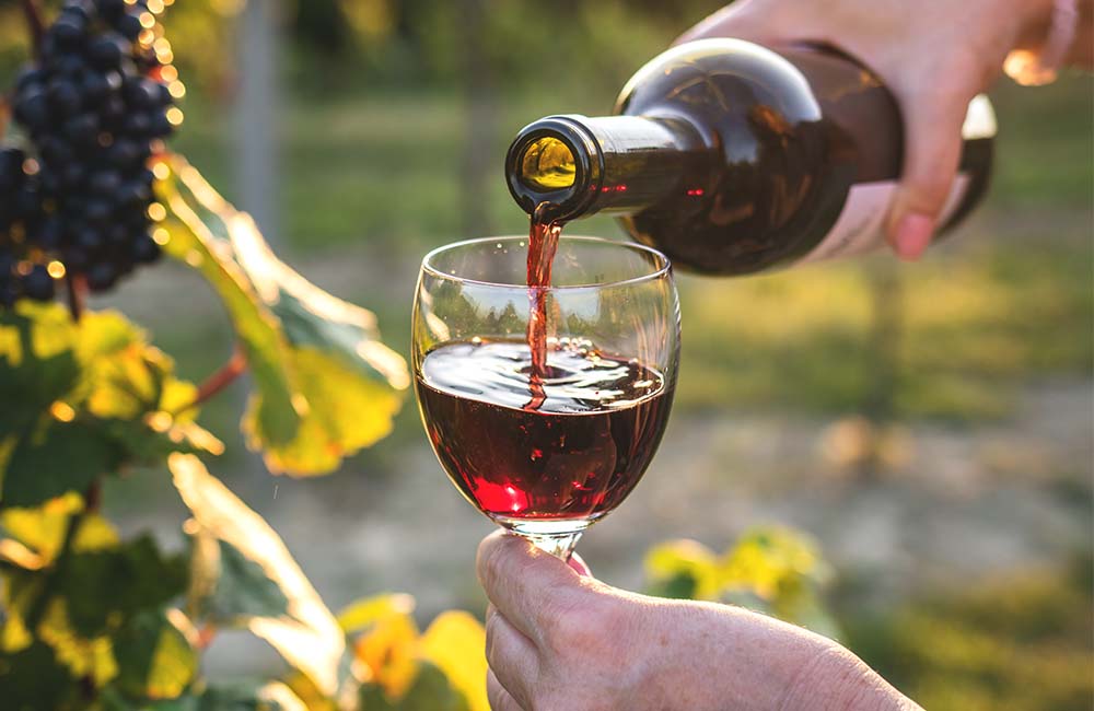 Novello al castello – Festa del vino