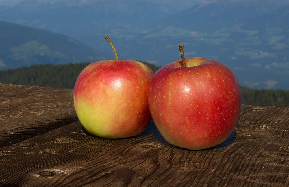 Mele vallée – Festa d’autunno