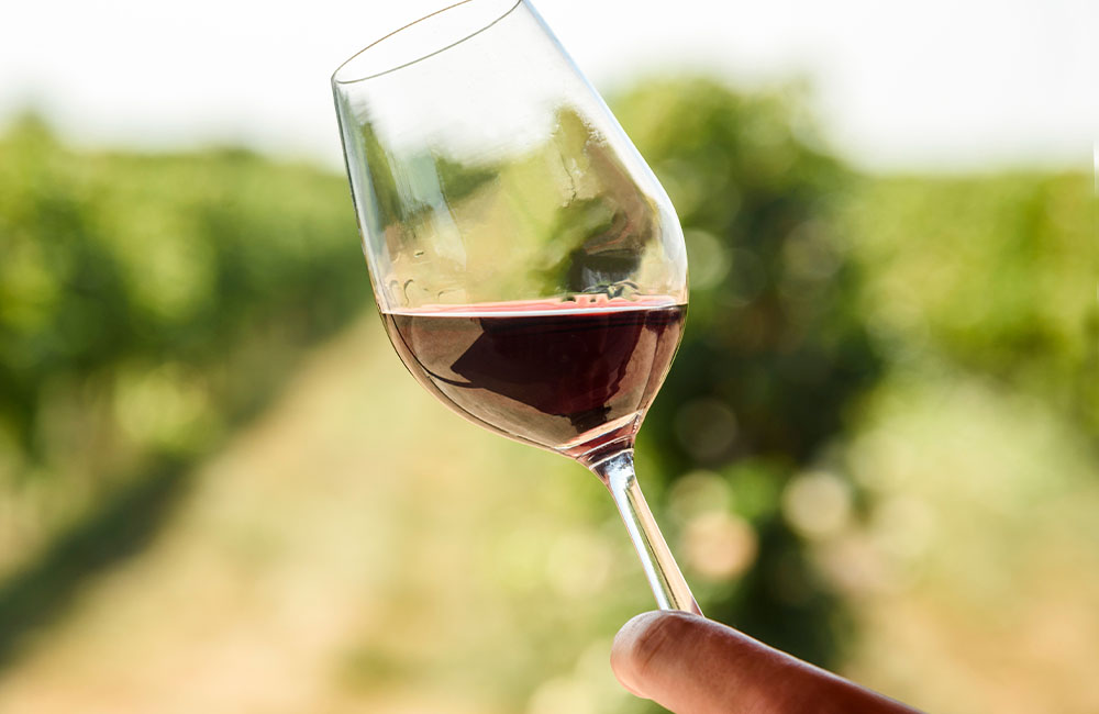 Festa del vino e dell’uva