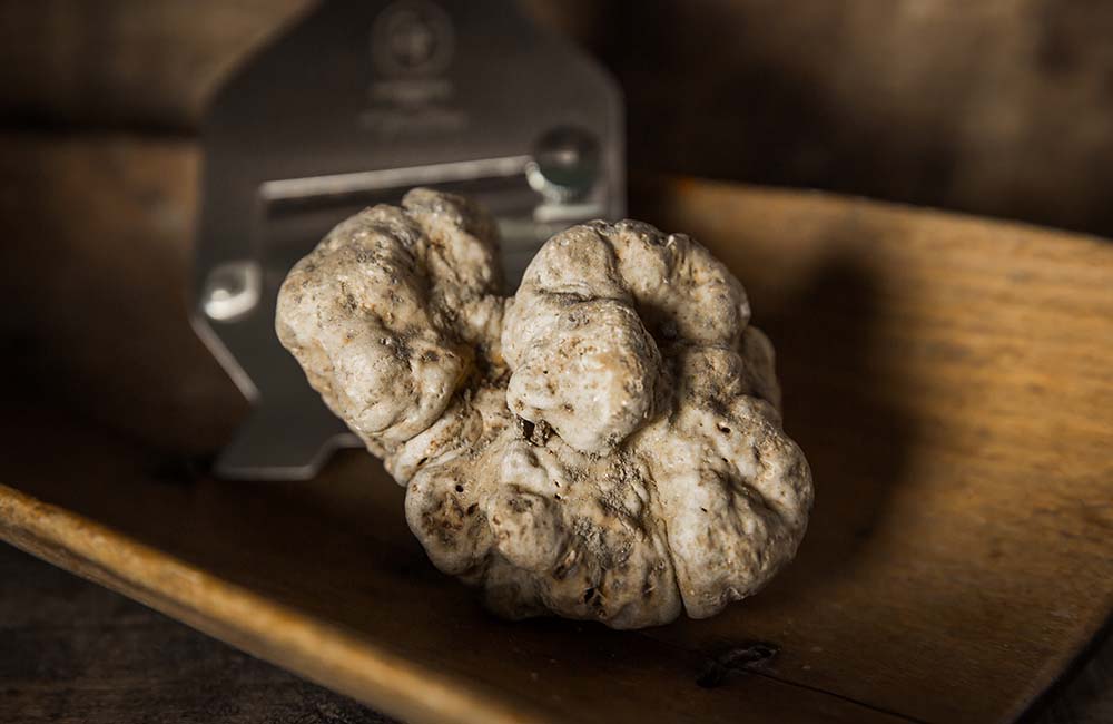 Mostra mercato del tartufo bianco di Carbone