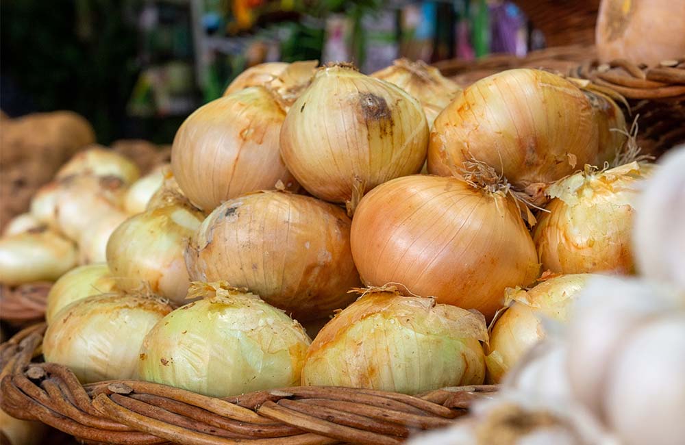 Fiera agricola