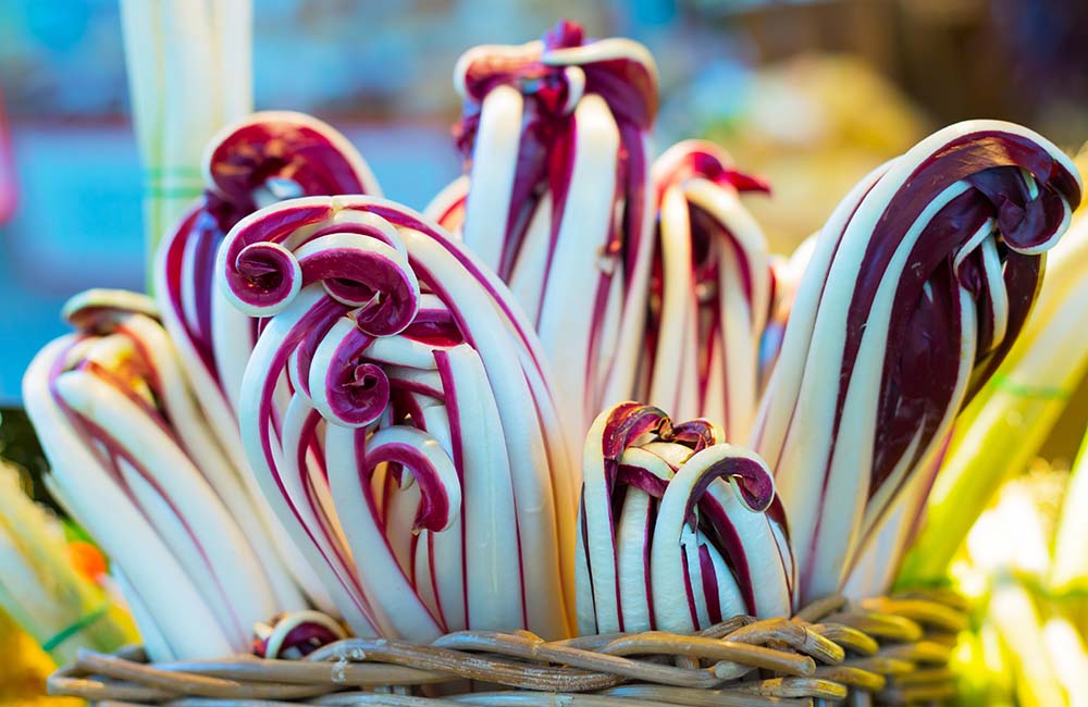 Mostra del radicchio