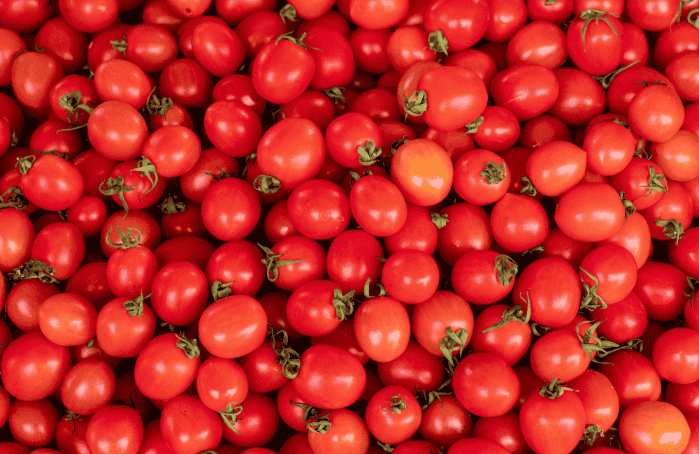 Sagra del Pomodoro “siccagnu”