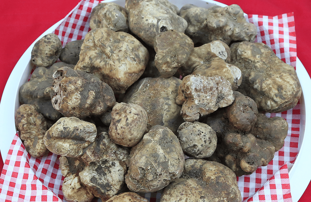 Fiera nazionale del Tartufo bianco