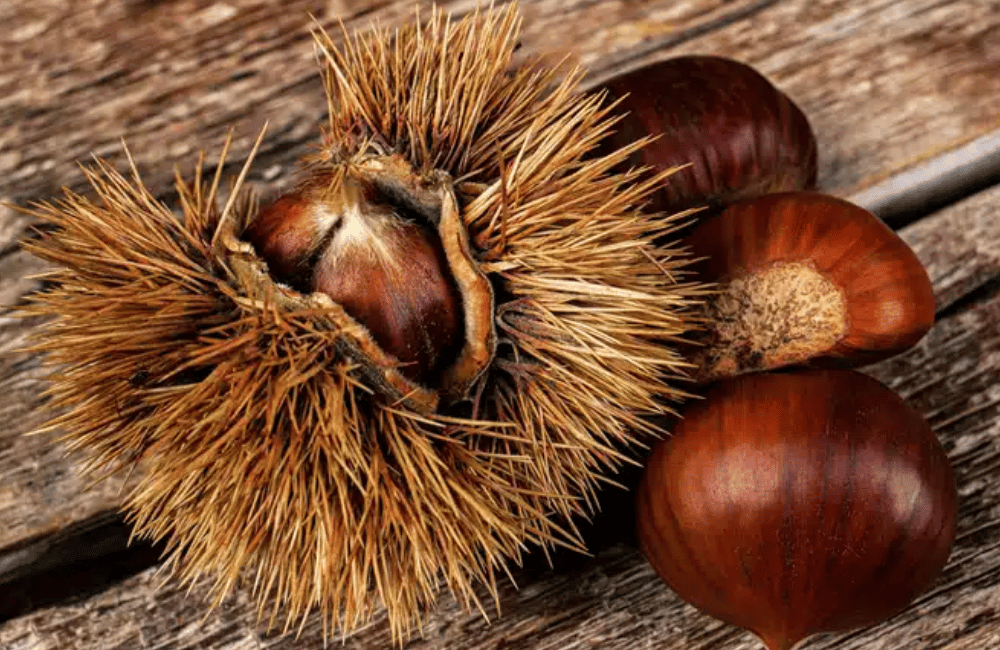 Sapori d’autunno