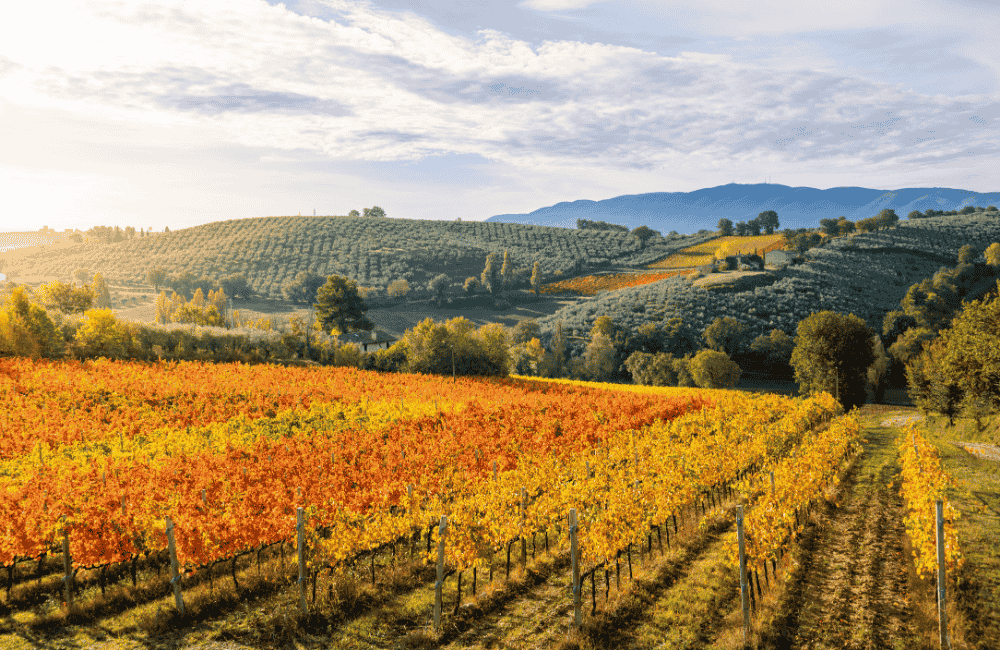 autunno italia campagna paesaggio