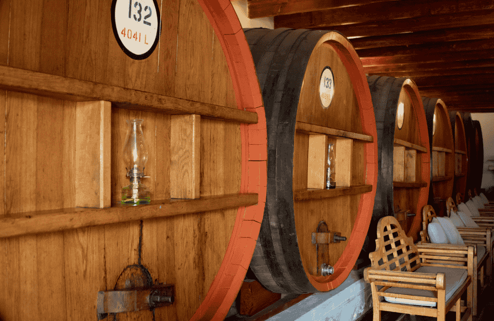 Martin Fest  – Evento Promotore del Vino e dei Prodotti tipici