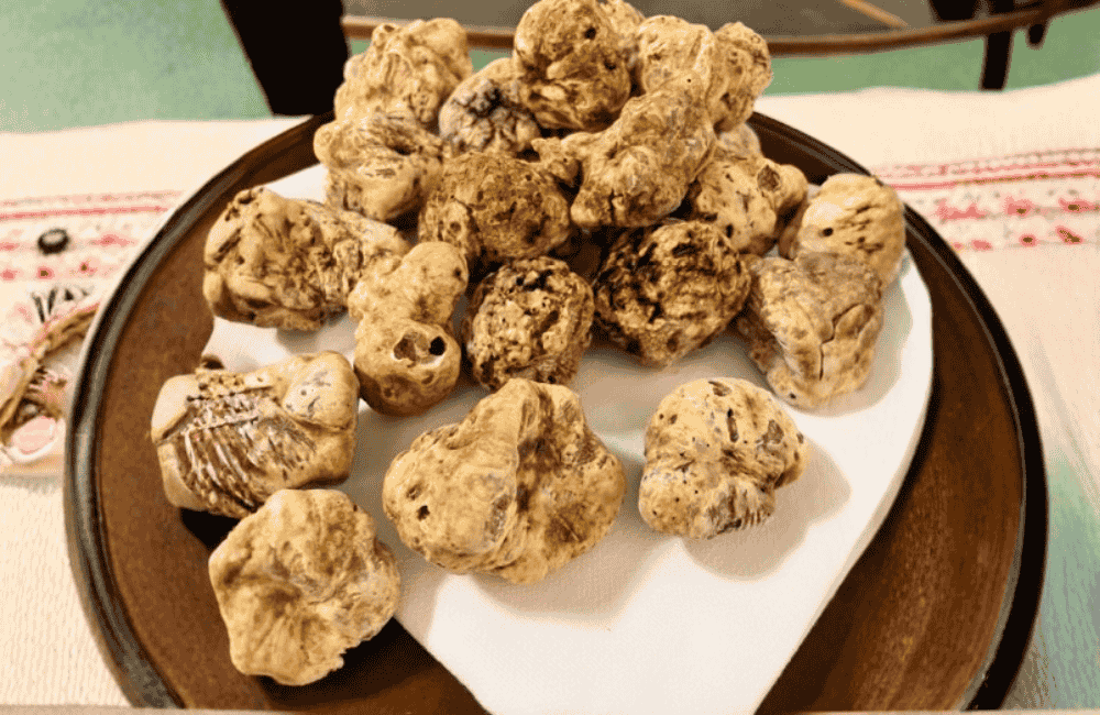 Fiera Nazionale del Tartufo Bianco dei vini del Roero