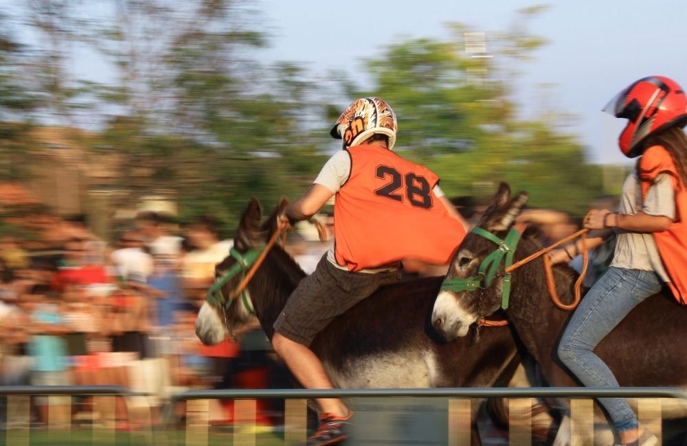 Palio dei somari Sindaci