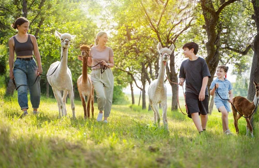 Festa della montagna