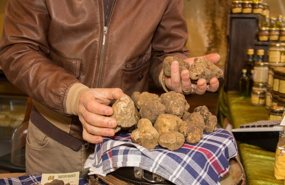 Sagra del tartufo