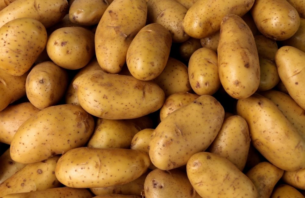 Sagra das cartufulas