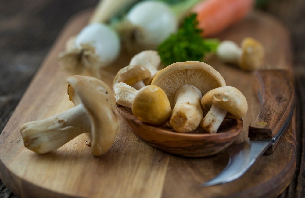 sagra del fungo prugnolo