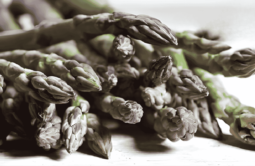 Sagra dell’asparago selvatico sicano