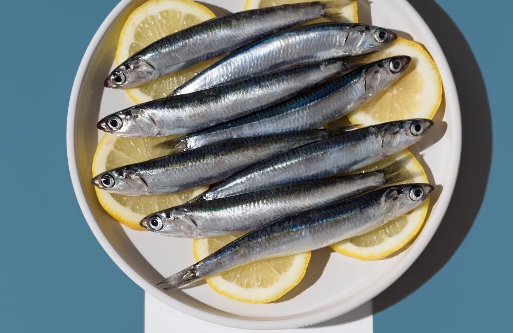 Festa del pesce azzurro