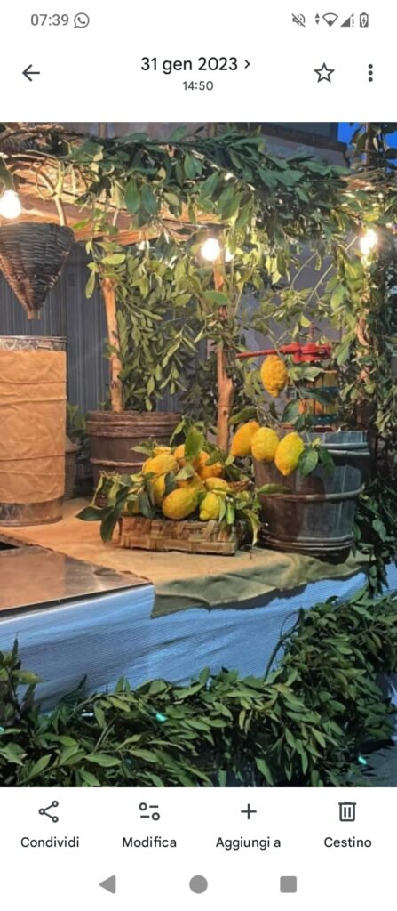 4 limoni