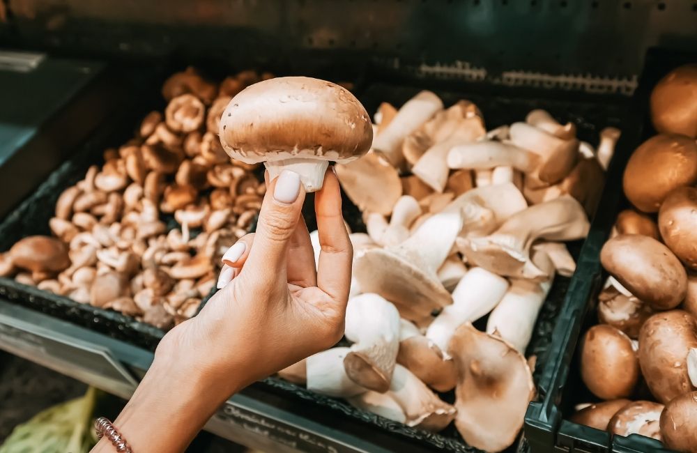 Mostra Nazionale del Fungo