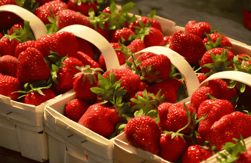 Fragolosa – Festa della fragola di Buttapietra
