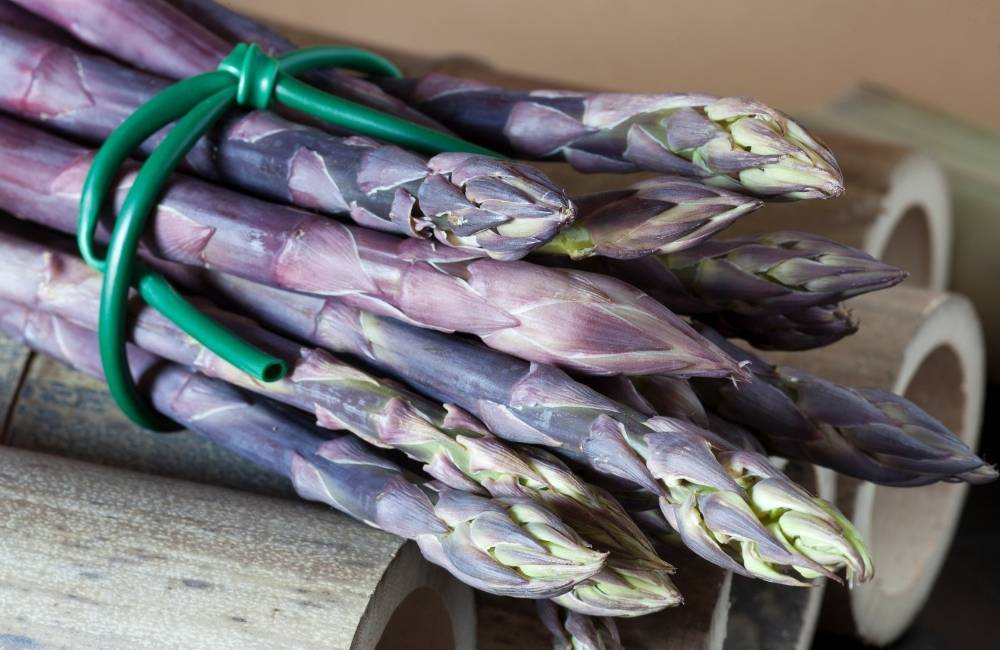 Fiera di San Martino