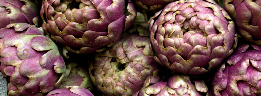 Copertina Blog Sito Perché le sagre del carciofo in Sardegna arrivano prima