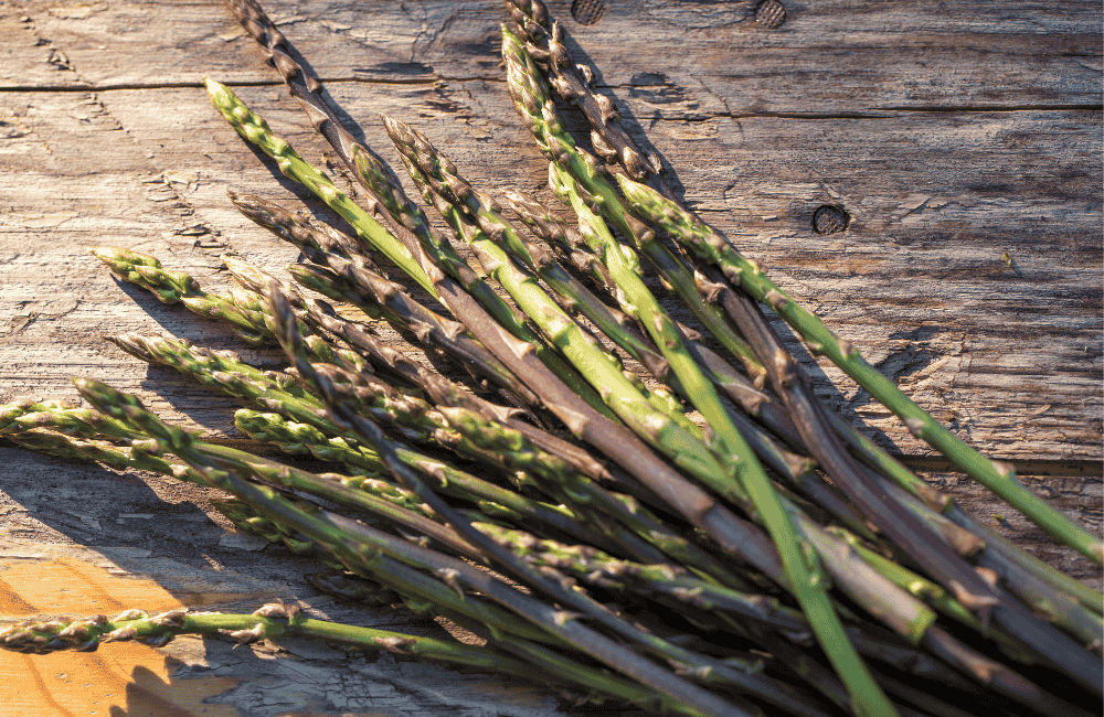 Sagra dell’Asparago Selvatico