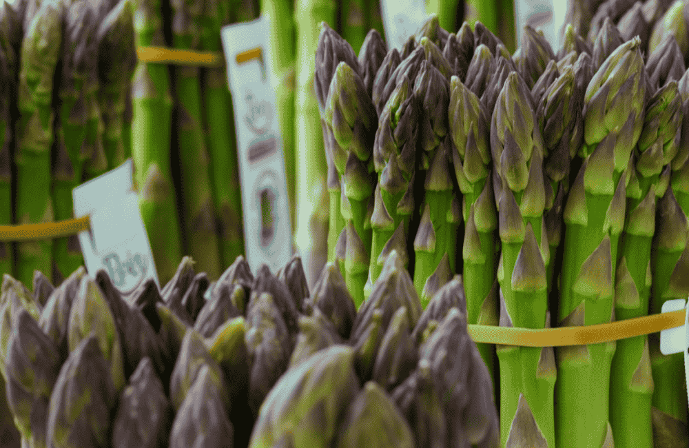 Sagra dell’Asparago di Santena