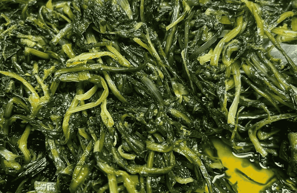 Festival della Cicoria