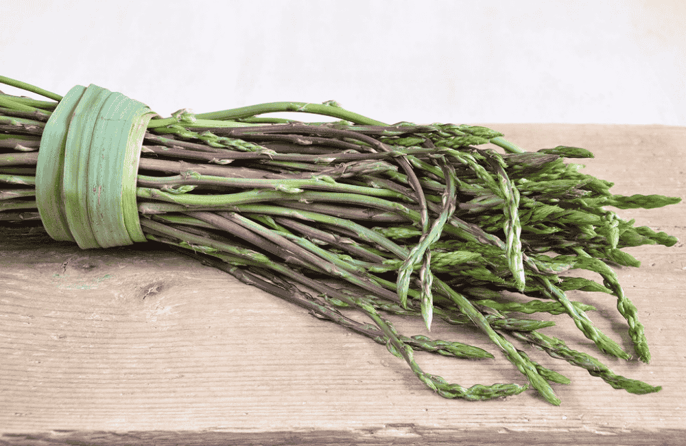 Fiera dell’Asparago