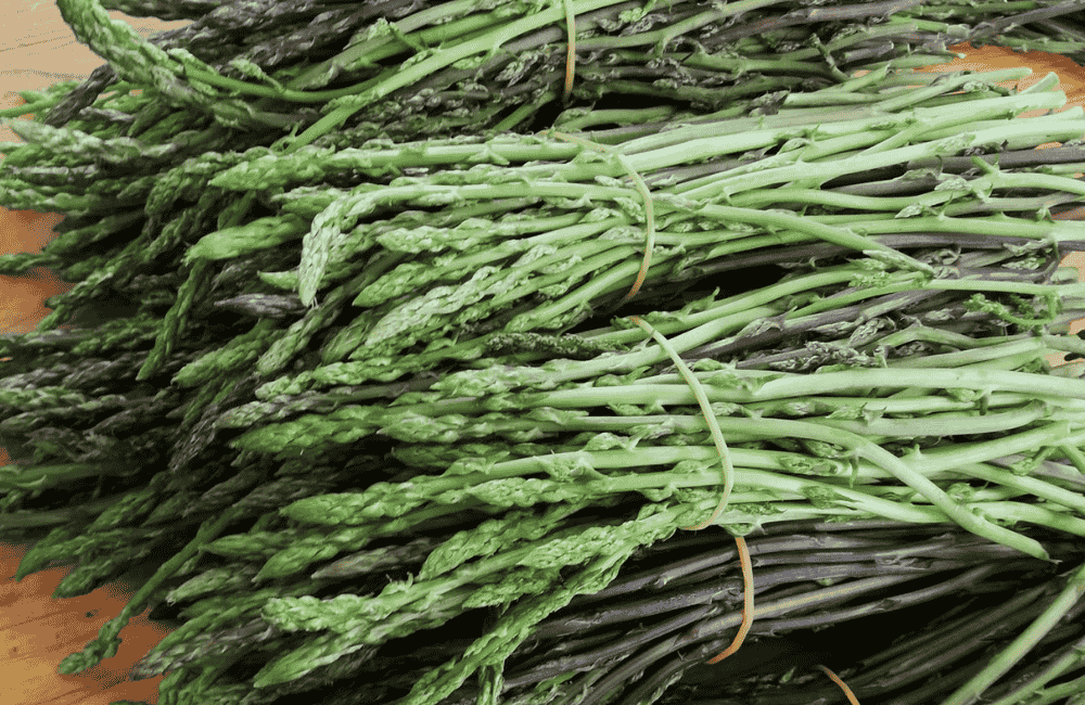 Festa della Sparasina