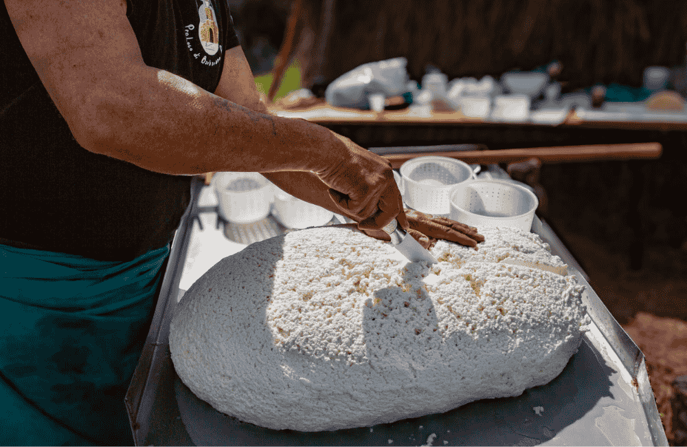 Festa dell’Attozzata