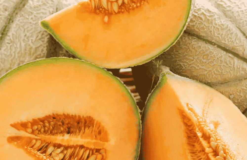 Sagra del melone