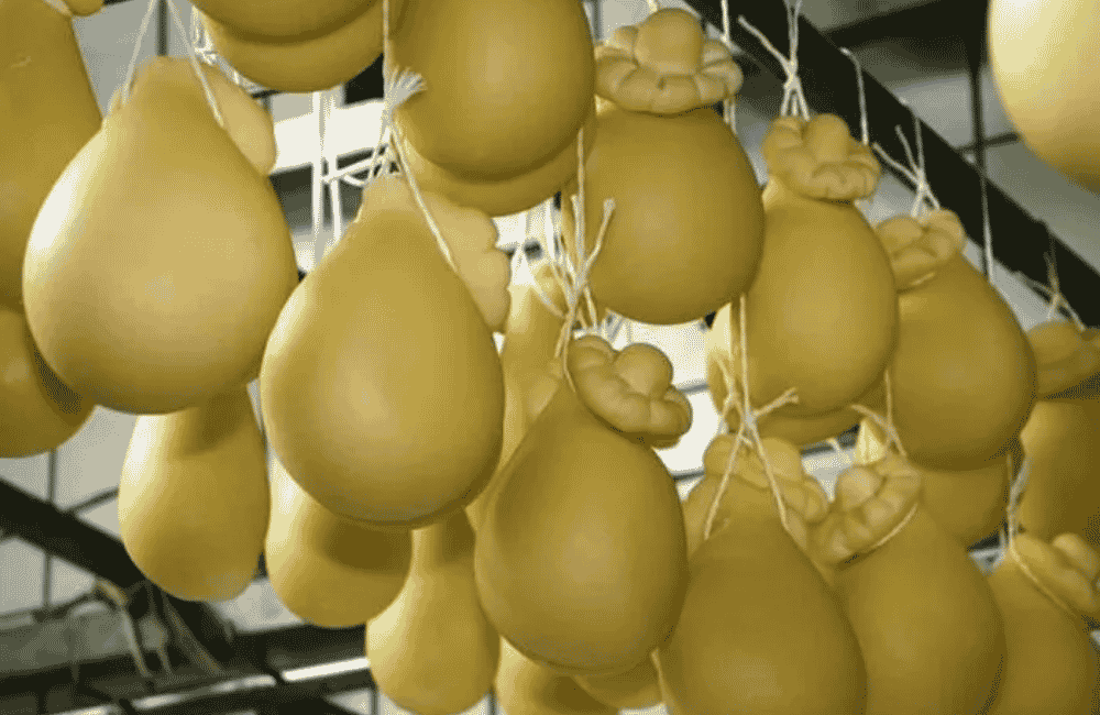 Sagra del caciocavallo