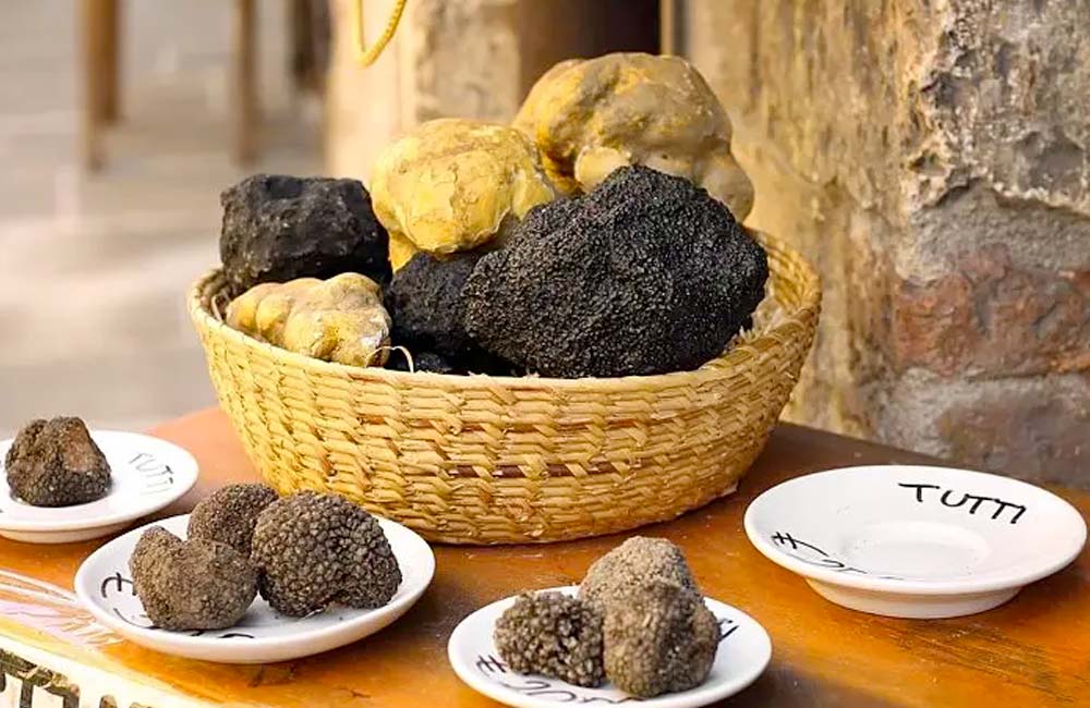 Festival del Tartufo della Tuscia