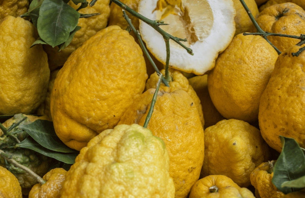 Fiera del Cedro