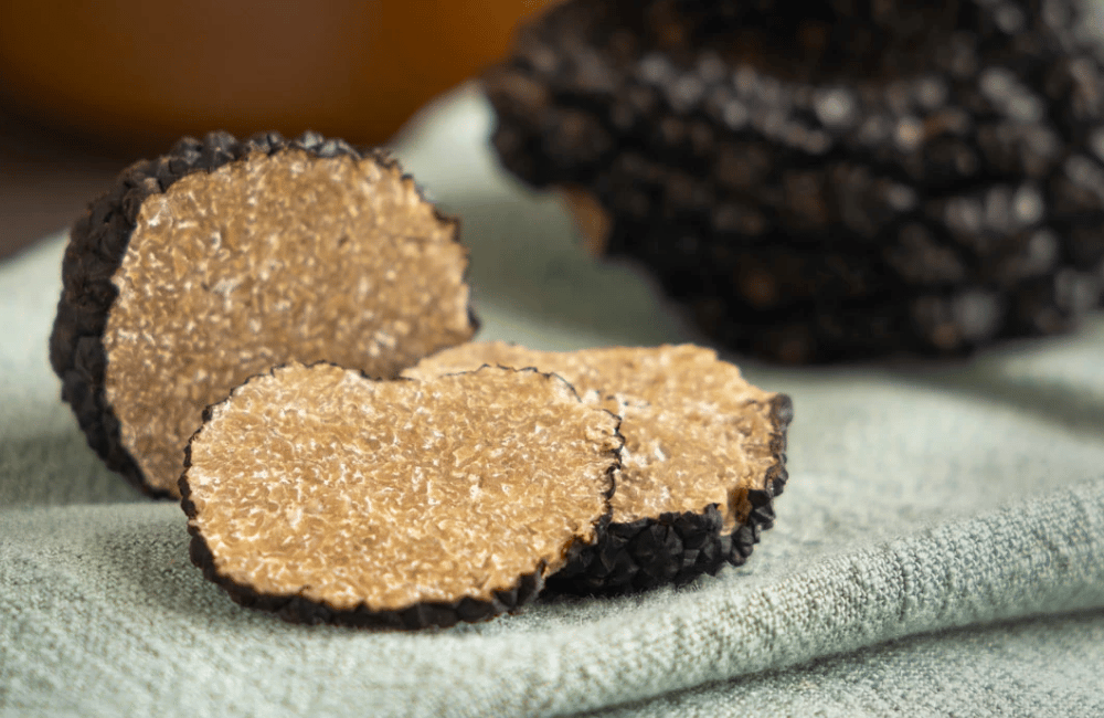 Sagra del tartufo